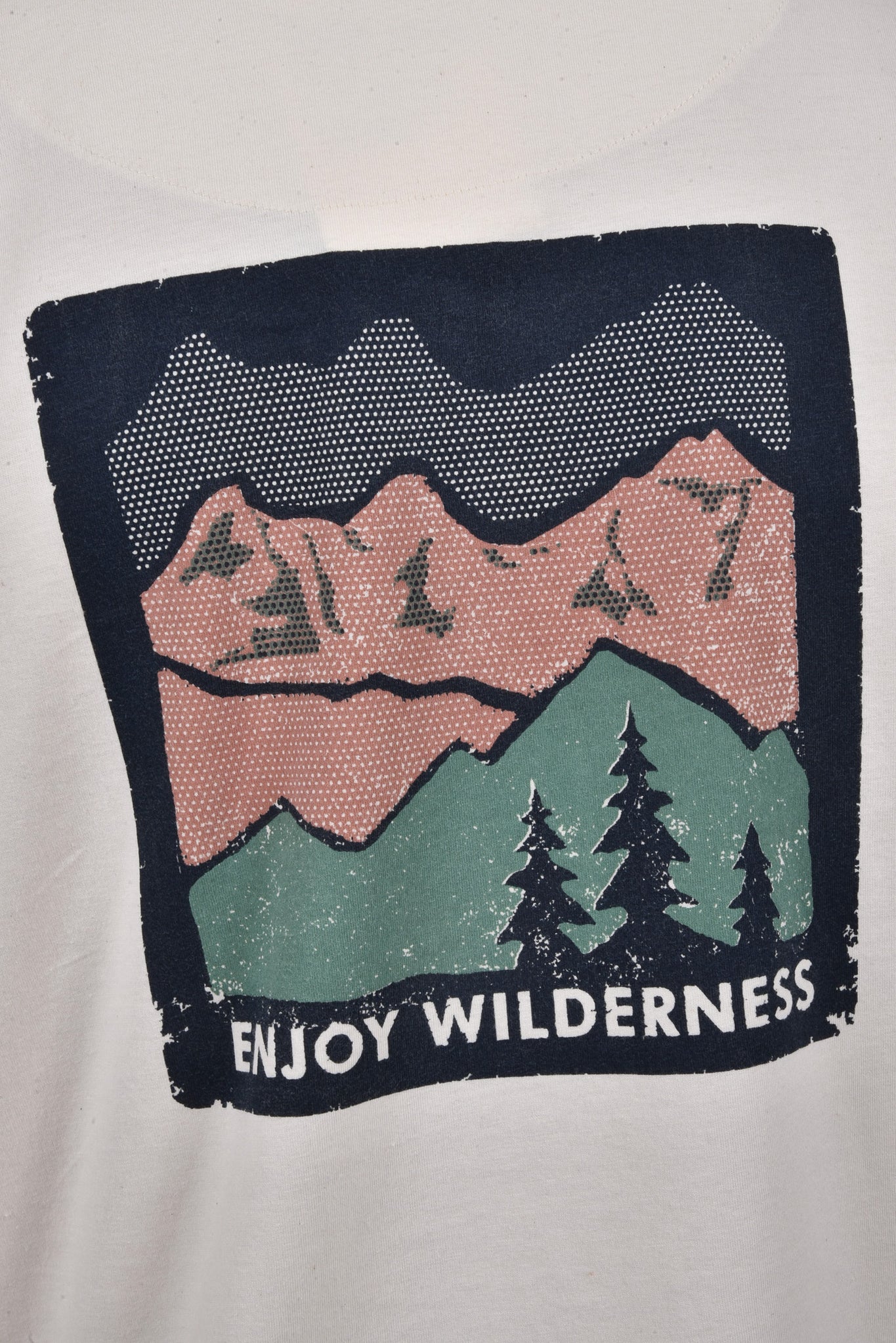 Eiger T-Shirt print mountain